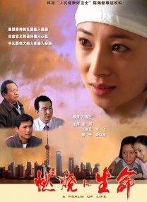 午夜神马福利免费官方